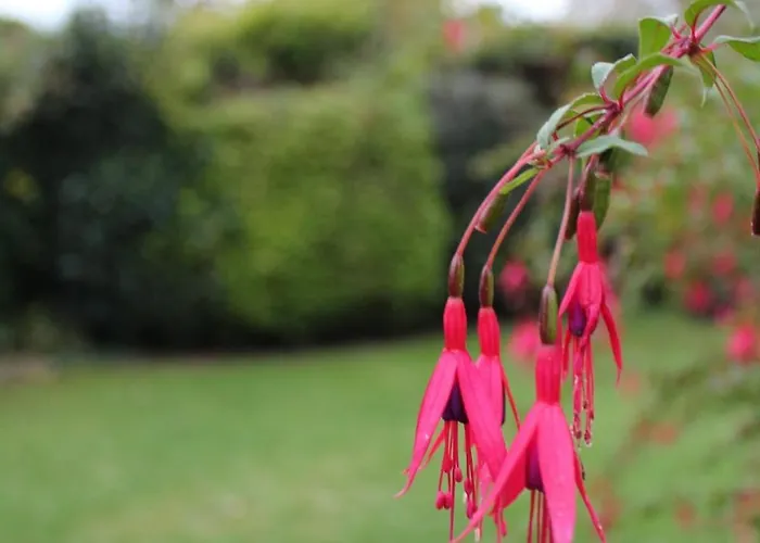 Meinweg * Wassenberg